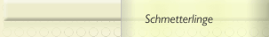 Schmetterlinge 